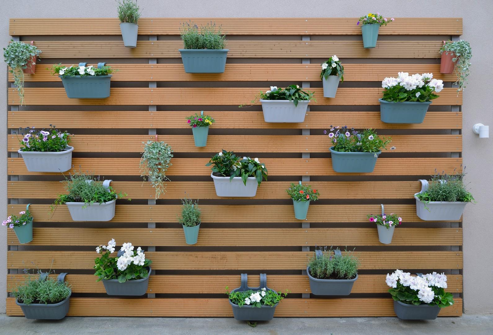 Garni Hotel D10 Zemun Photos of the hotel Garni Hotel D10